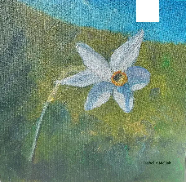 Narcisse blanc peint à l'huile sur fond de prairie verte et ciel bleu