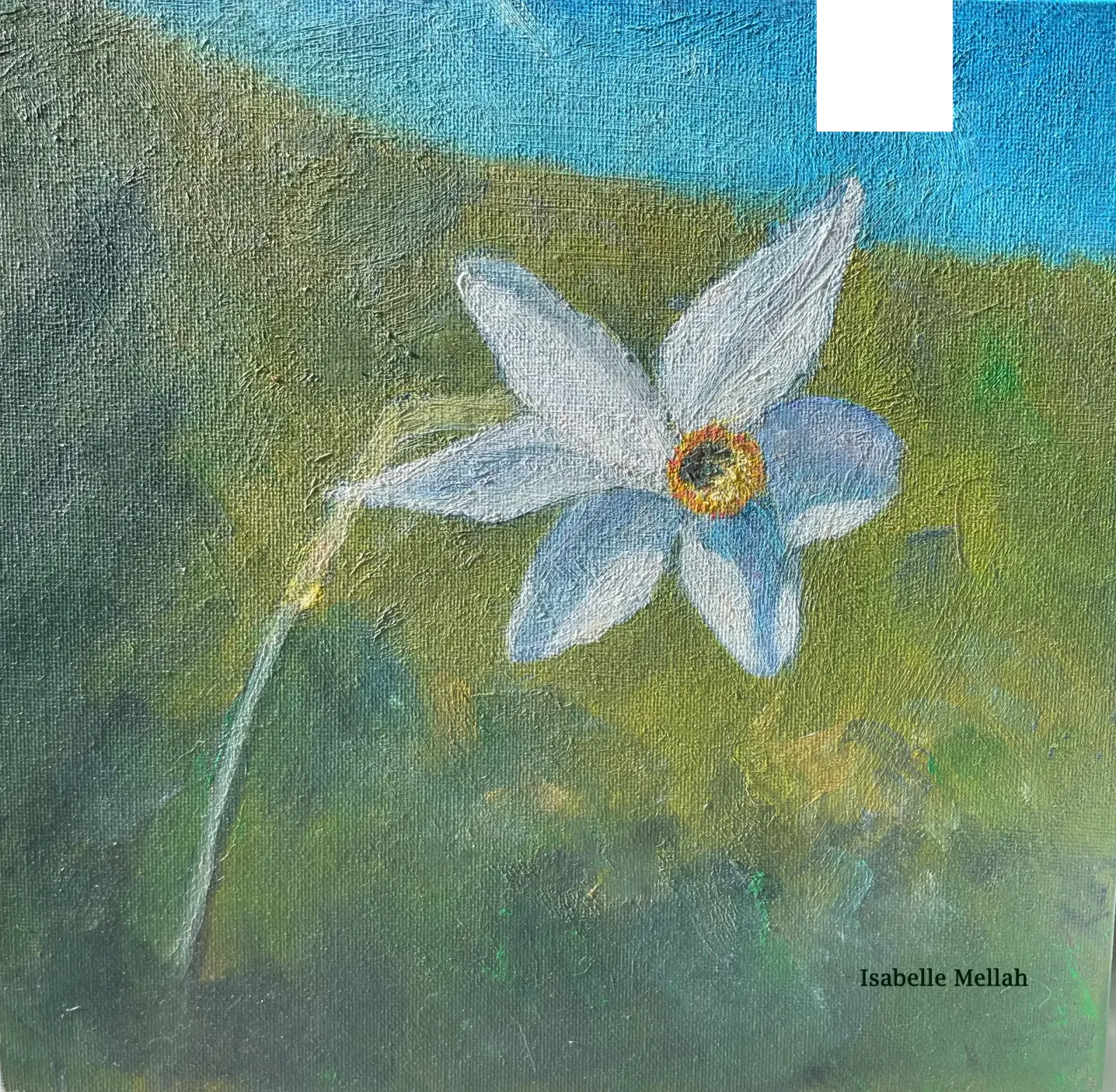 Narcisse blanc peint à l'huile sur fond de prairie verte et ciel bleu