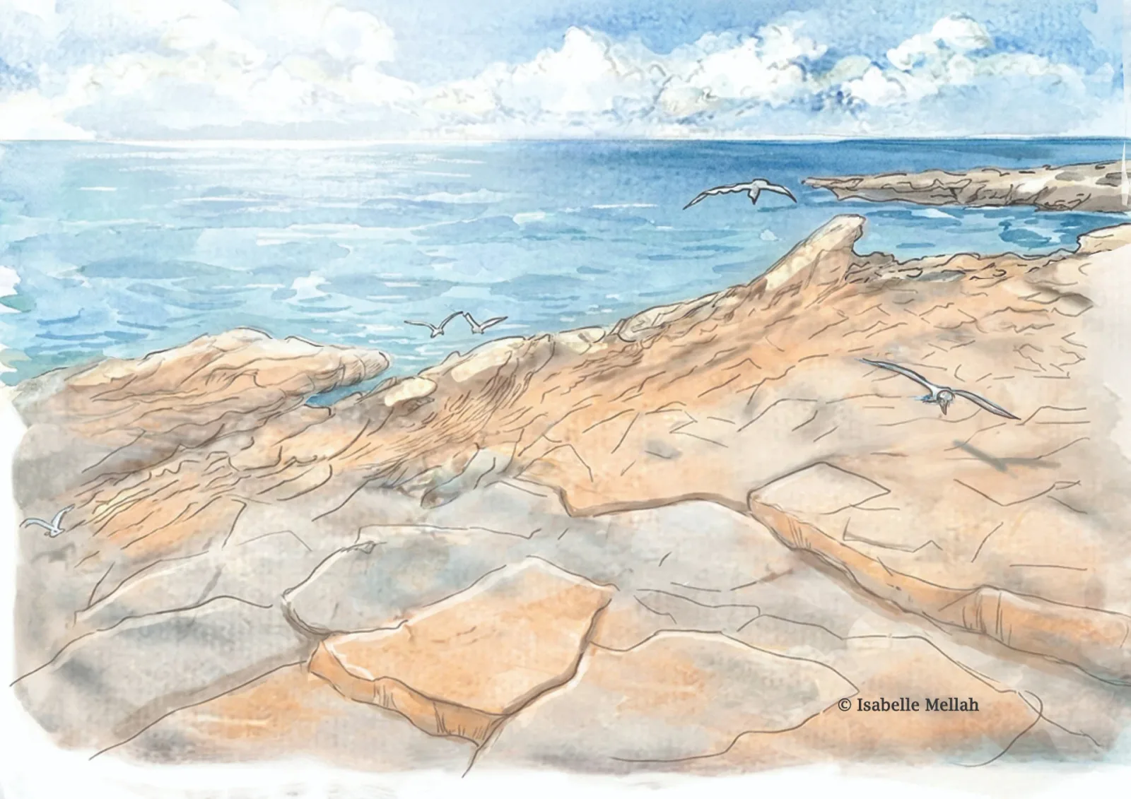 Dalles de granit clair au bord d'une mer bleue, goélands en vol