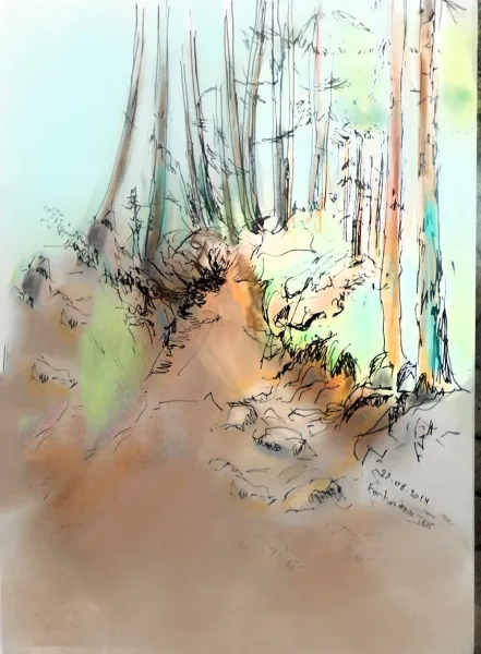 Forêt de la Fortunière