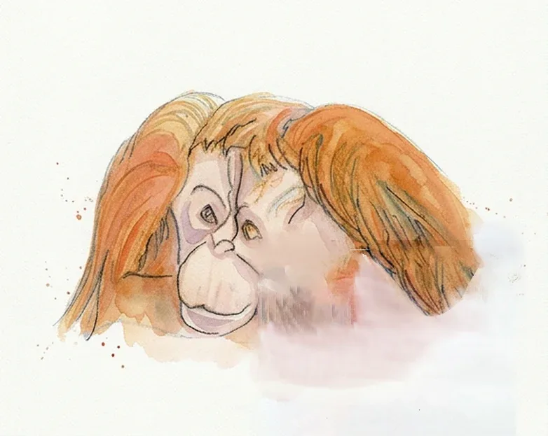 Portrait d'un orang-outan à l'aquarelle, pelage roux et regard de côté